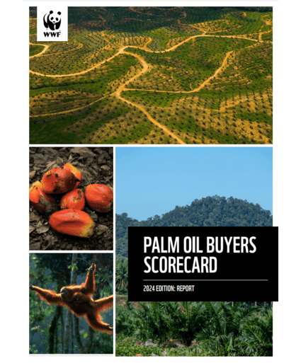 WWF Palm Oil Buyers Scorecard cover image
